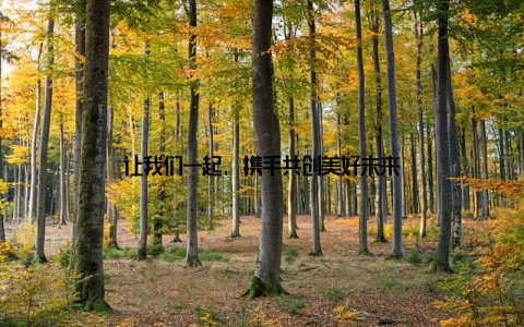 让我们一起, 携手共创美好未来