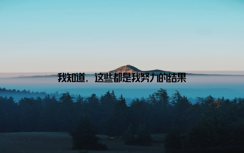 我知道, 这些都是我努力的结果