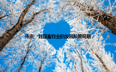 未来, 我国畜牧业的发展前景可期