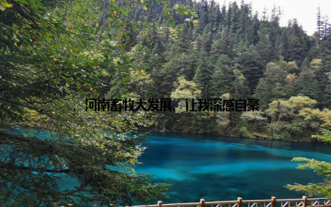 , 河南畜牧大发展, 让我深感自豪