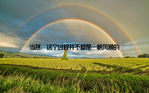 当然, 这个过程并不都是一帆风顺的