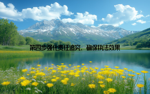 第四步强化责任追究, 确保执法效果