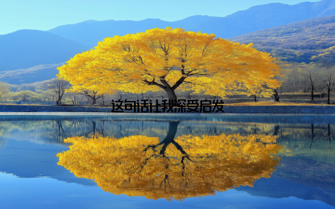 这句话让我深受启发