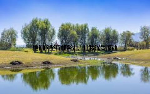 他们的坚持和努力, 让我深受感动