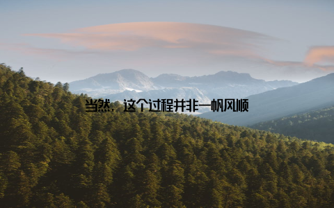 当然, 这个过程并非一帆风顺