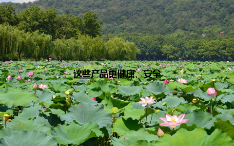 这些产品更健康、安全