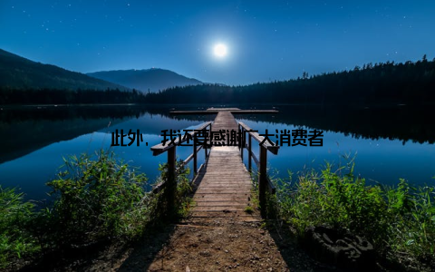 此外, 我还要感谢广大消费者