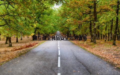 建立健全食品安全追溯体系