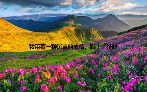 我带着一颗沉重的心情, 踏上了征程