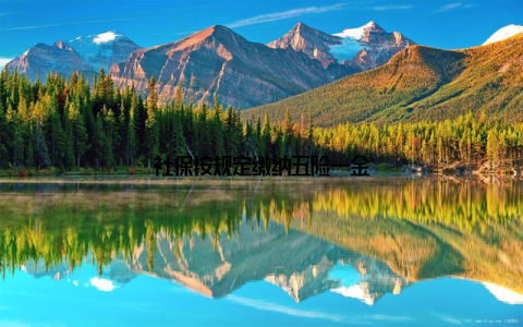 社保按规定缴纳五险一金