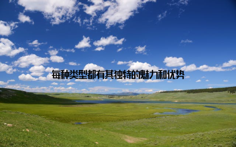 每种类型都有其独特的魅力和优势