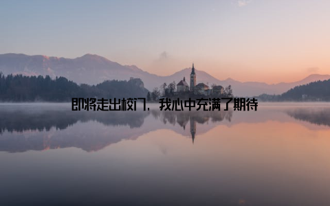 即将走出校门, 我心中充满了期待