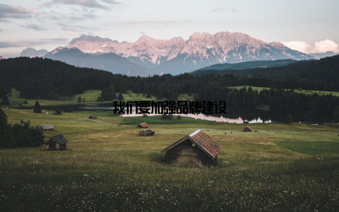 我们要加强品牌建设