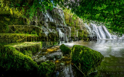 培育新型经营主体, 带动产业发展