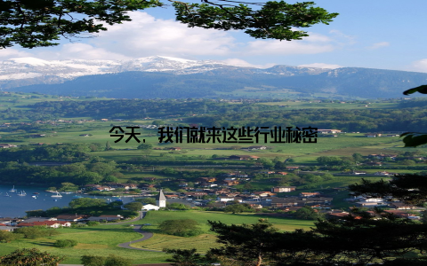 今天, 我们就来这些行业秘密
