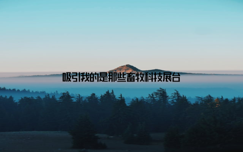 吸引我的是那些畜牧科技展台