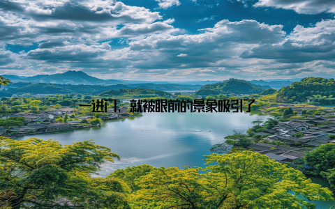 一进门, 就被眼前的景象吸引了