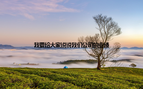 我要给大家说说我们公司的业绩