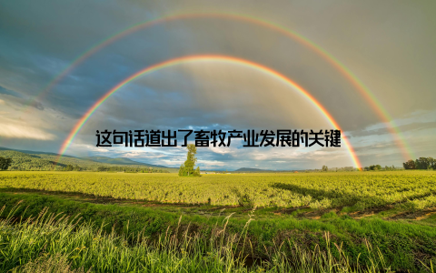 这句话道出了畜牧产业发展的关键