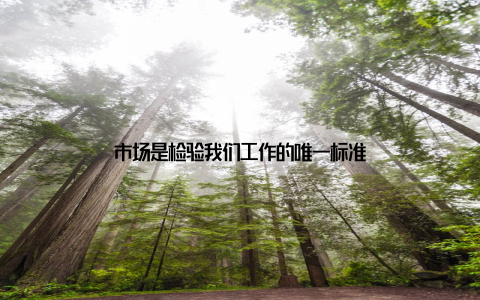 市场是检验我们工作的唯一标准
