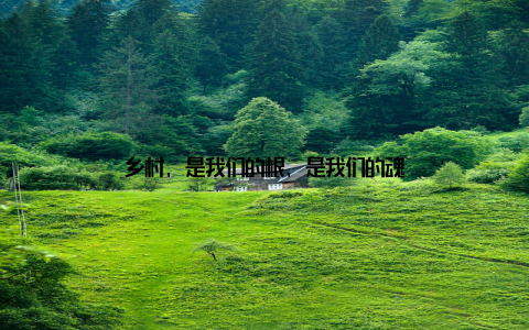 乡村, 是我们的根, 是我们的魂