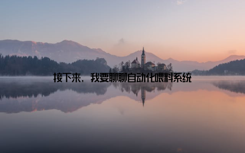 接下来, 我要聊聊自动化喂料系统