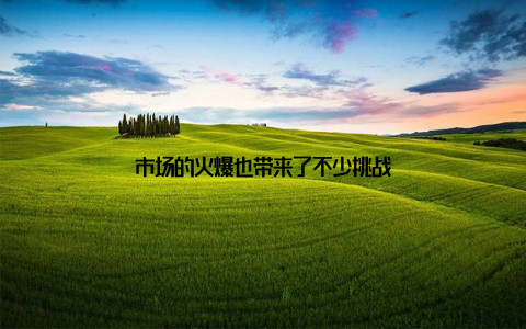 市场的火爆也带来了不少挑战