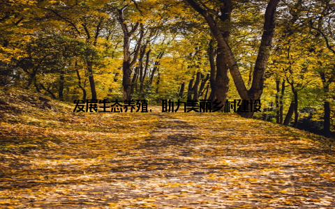 发展生态养殖, 助力美丽乡村建设