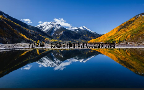 在这里, 我要向他们致以崇高的敬意