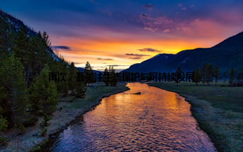 再次, 聂关注生态保护与可持续发展