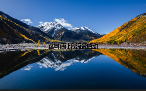 这句话让我深受感动