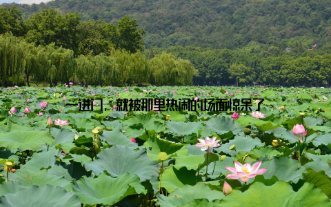 一进门, 就被那里热闹的场面惊呆了