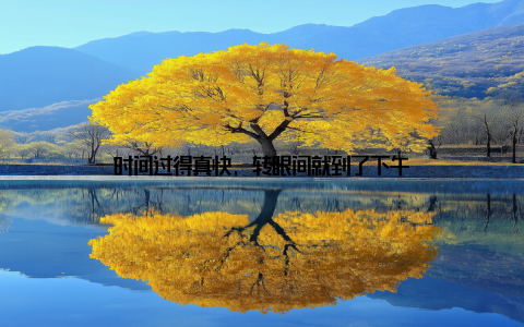 时间过得真快, 转眼间就到了下午