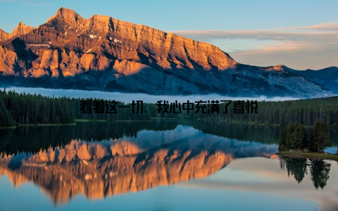 看着这一切, 我心中充满了喜悦