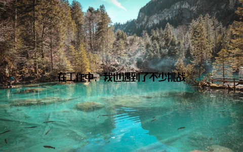 在工作中, 我也遇到了不少挑战