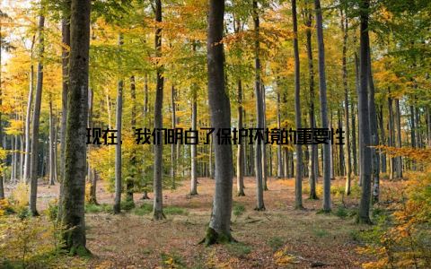 现在, 我们明白了保护环境的重要性