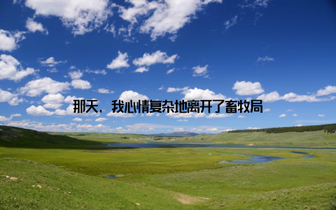 那天, 我心情复杂地离开了畜牧局