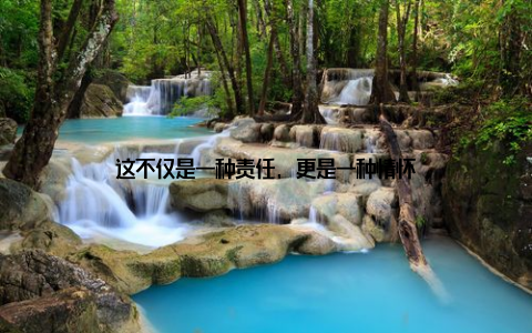 这不仅是一种责任, 更是一种情怀