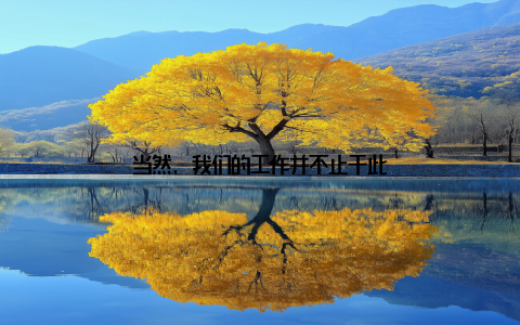 当然, 我们的工作并不止于此