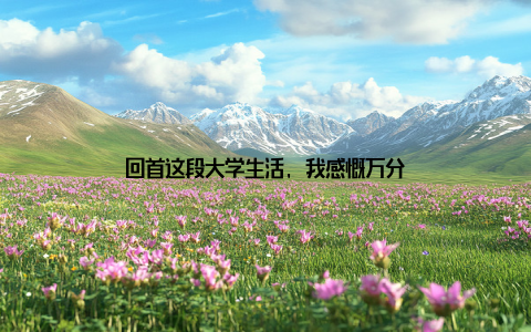 回首这段大学生活, 我感慨万分