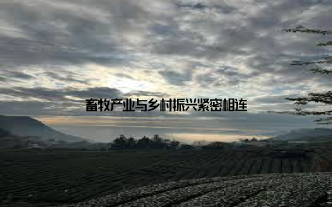 畜牧产业与乡村振兴紧密相连