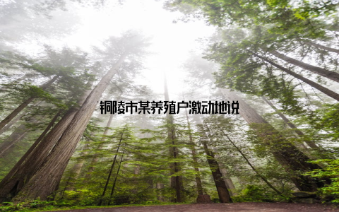 铜陵市某养殖户激动地说