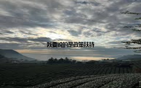 我要说的是政策扶持