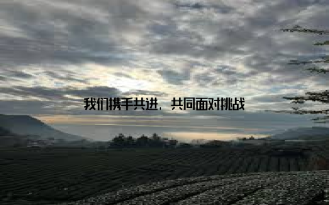 我们携手共进, 共同面对挑战