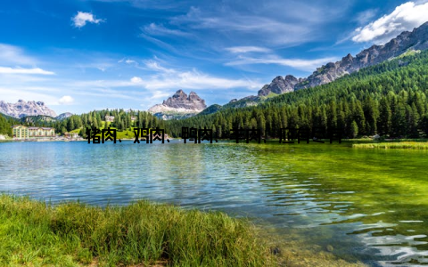 猪肉、鸡肉、鸭肉、羊肉, 应有尽有