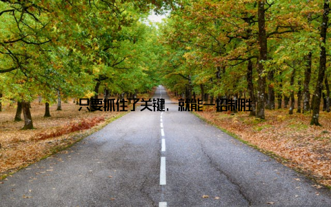 只要抓住了关键, 就能一招制胜