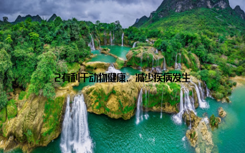 2有利于动物健康, 减少疾病发生