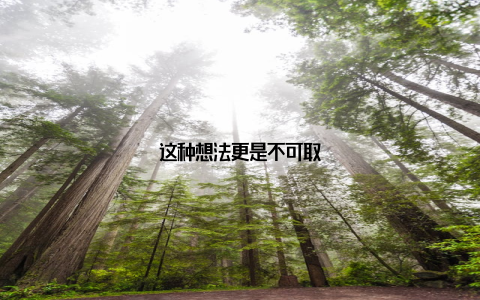 这种想法更是不可取
