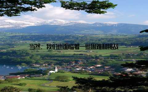 当然, 我们也面临着一些困难和挑战