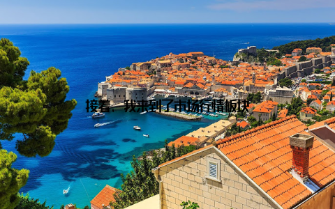 接着, 我来到了市场行情板块